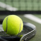 Tennis Balls, Advanced Felt Balls,Highly Elasticity, More Durable,for All Court Types, Premium Performance Tennis Balls, Advanced Felt Balls,Highly Elasticity, More Durable,for All Court Types, Premium Performance